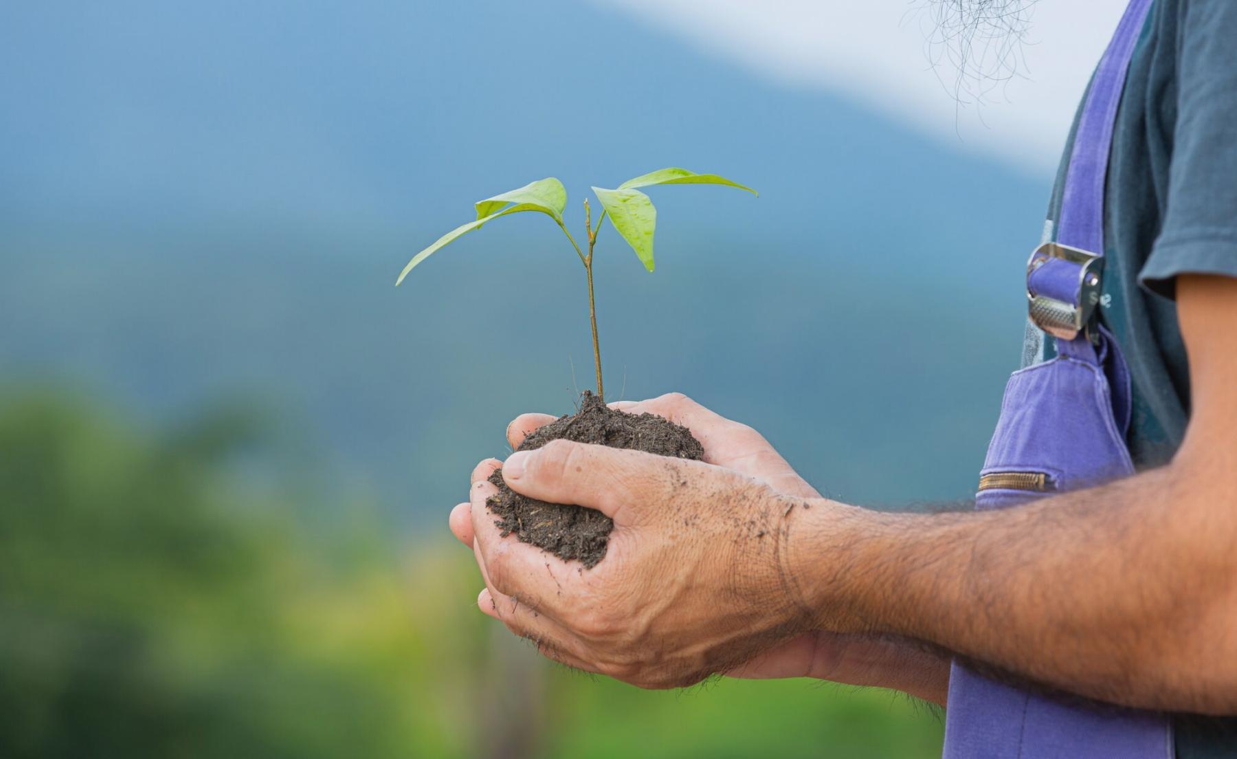 Sociale ecologie cursussen in praktijk